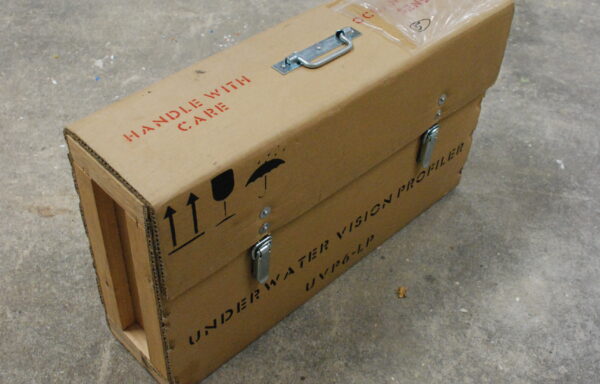 Valise en carton